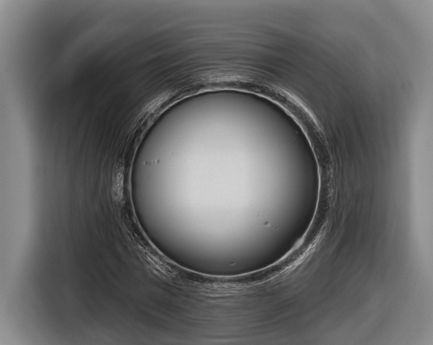 X0000116810777200912241220