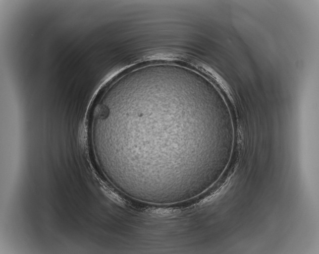 X0000116810779200912241220