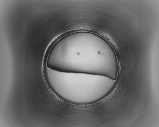 X0000116810780200912241220