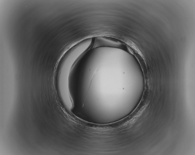 X0000116810781200912241220