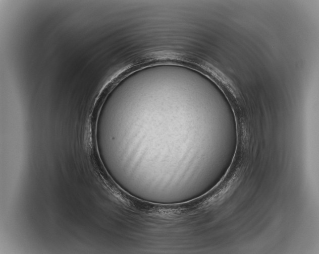 X0000116810782200912241220