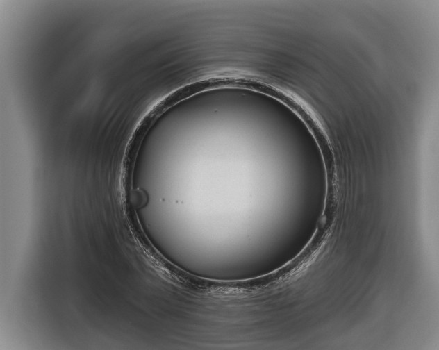 X0000116810783200912241220