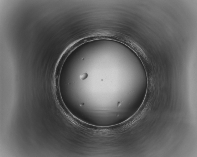 X0000116810784200912241220