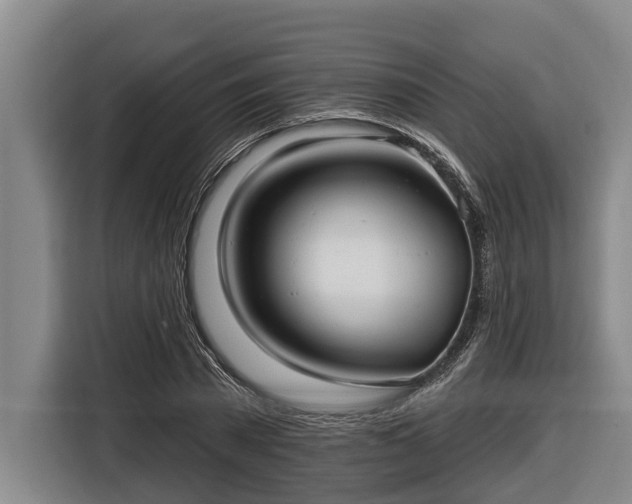 X0000116810785200912241220