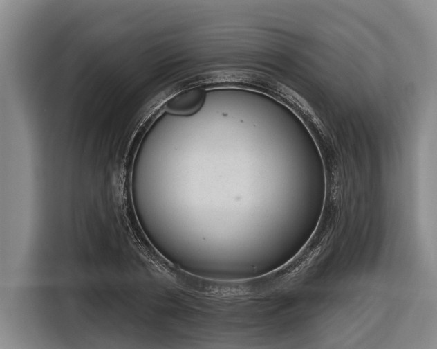 X0000116810786200912241220