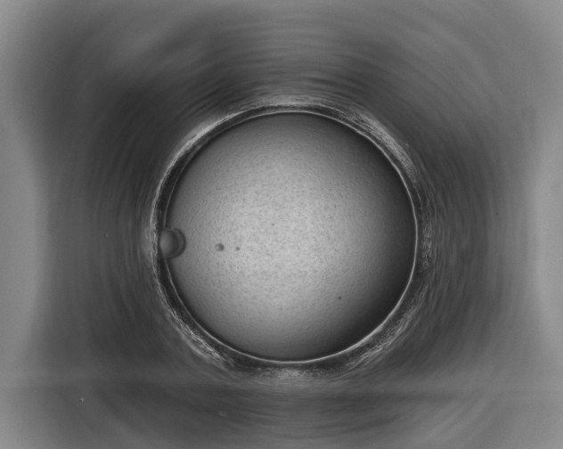 X0000116810787200912241220