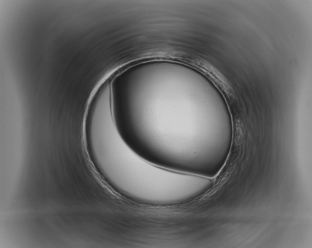 X0000116810788200912241220