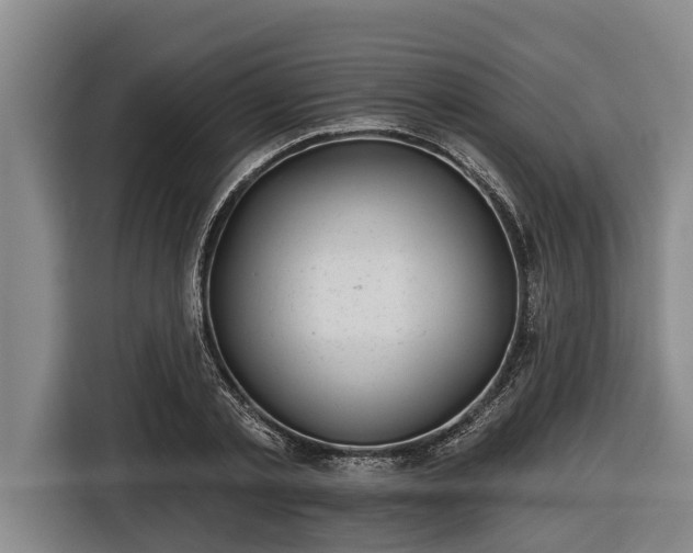 X0000116810789200912241220