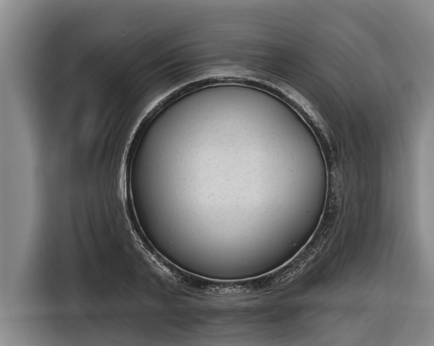 X0000116810791200912241220