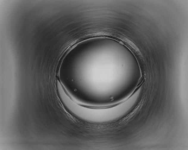 X0000116810793200912241220