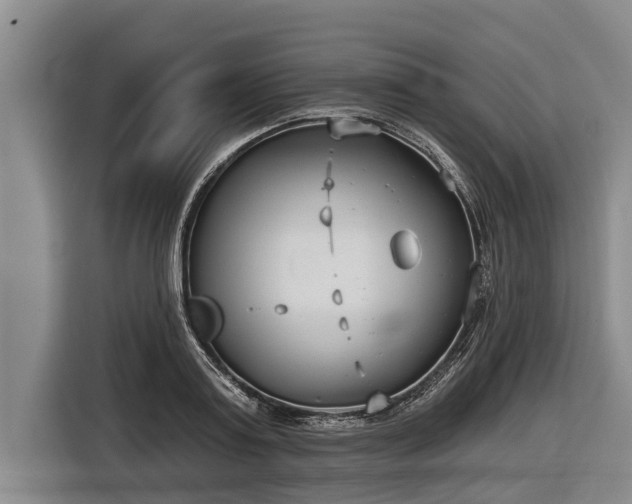 X0000116810795200912241220