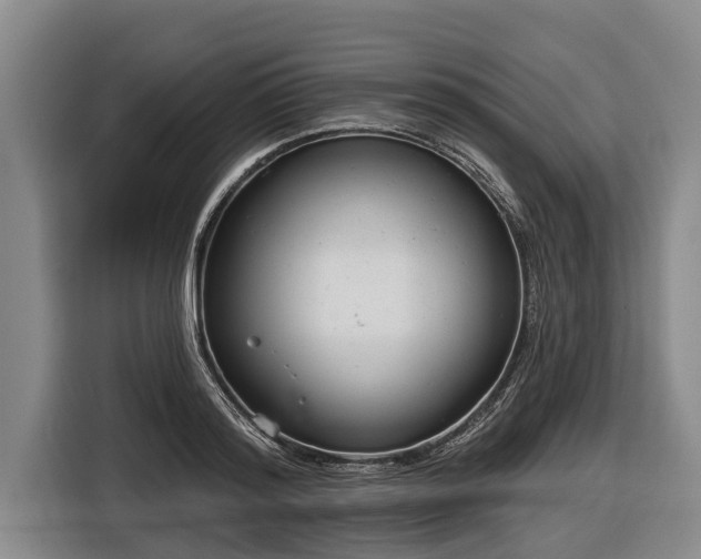 X0000116810796200912241220