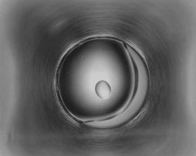 X0000116810797200912241220