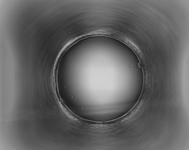 X0000116810800200912241220