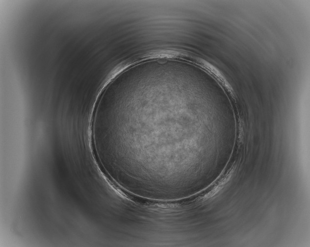 X0000116810802200912241220