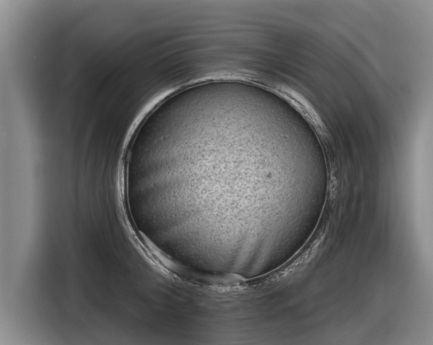 X0000116810804200912241220