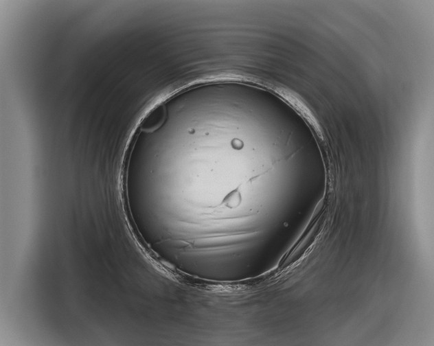 X0000116810805200912241220