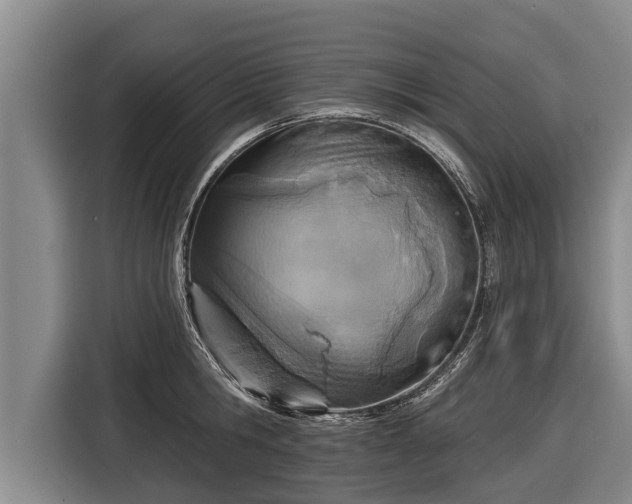 X0000116810806200912241220