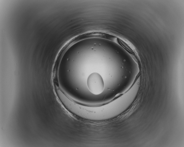 X0000116810807200912241220