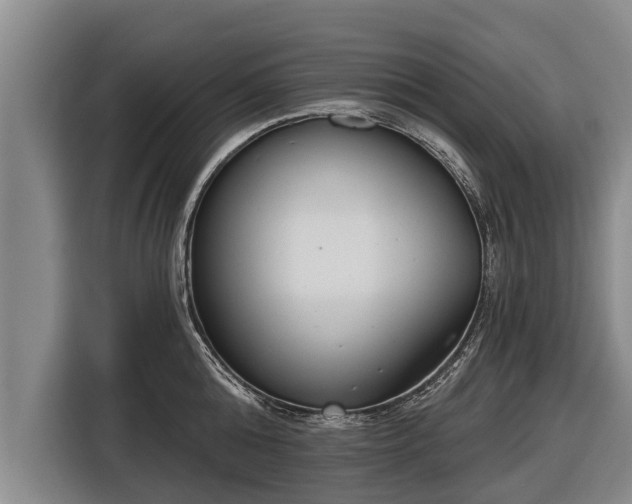 X0000116810808200912241220