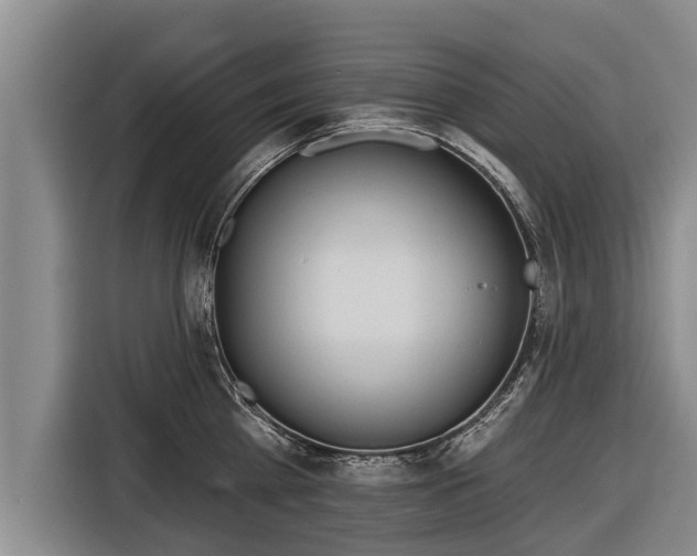 X0000116810809200912241220