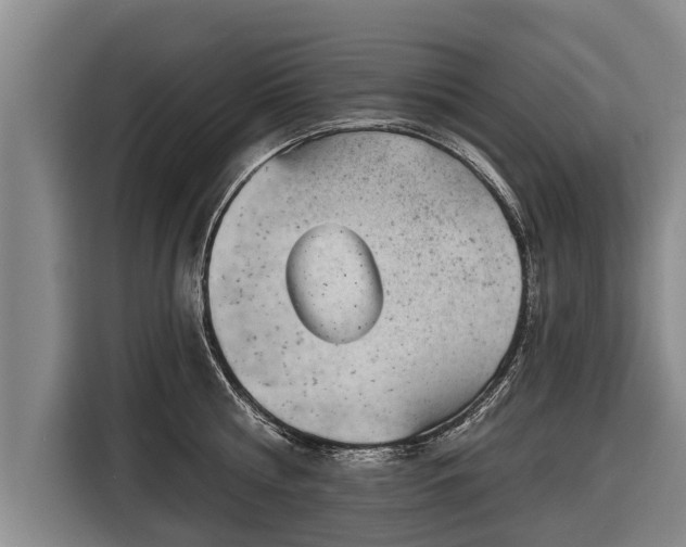 X0000116810810200912241220