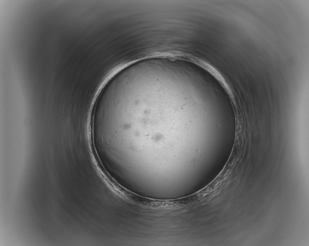 X0000116810811200912241220