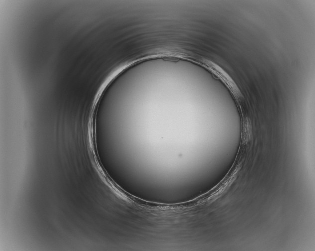 X0000116810812200912241220