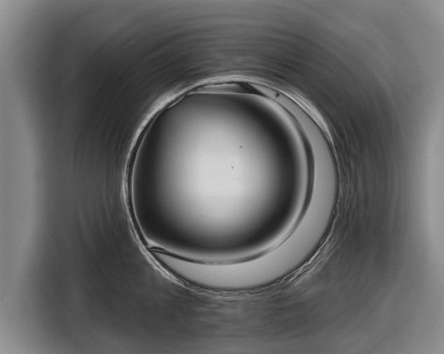 X0000116810813200912241220