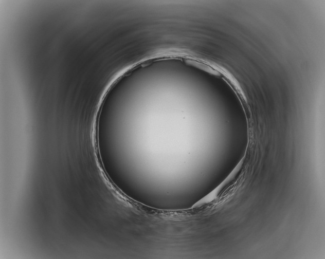 X0000116810815200912241220