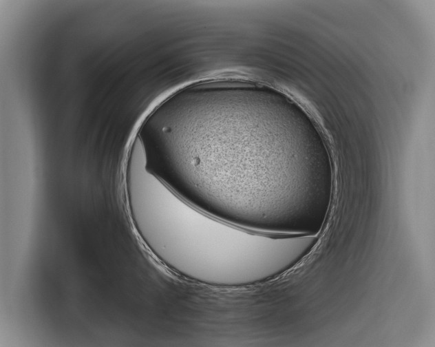 X0000116810816200912241220