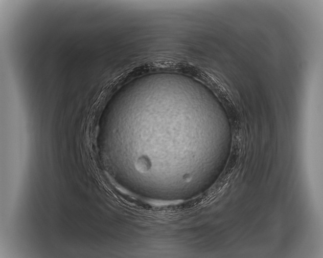 X0000116810817200912241219