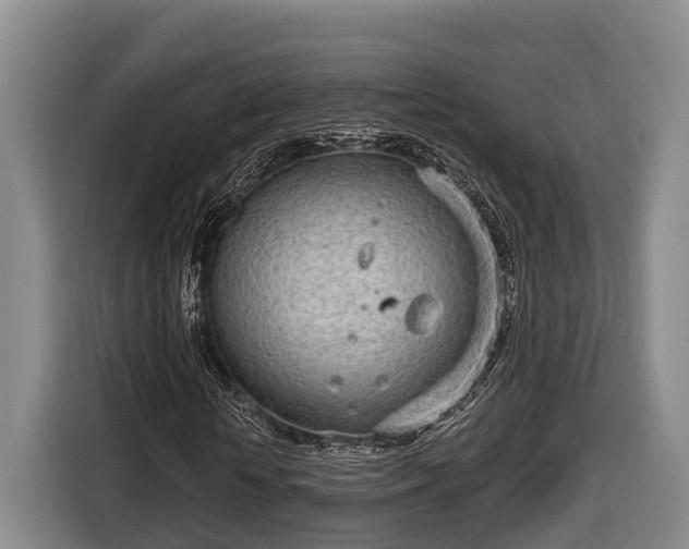 X0000116810818200912241219