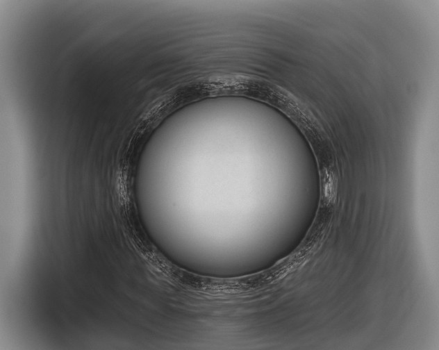 X0000116810819200912241219