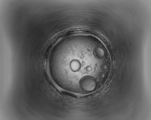 X0000116810821200912241219