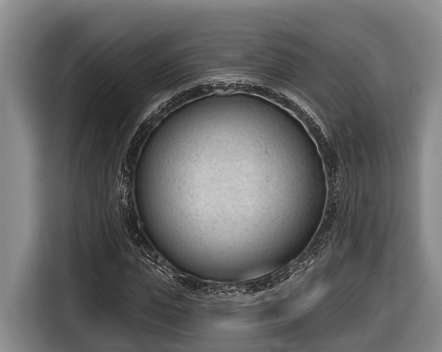 X0000116810823200912241219