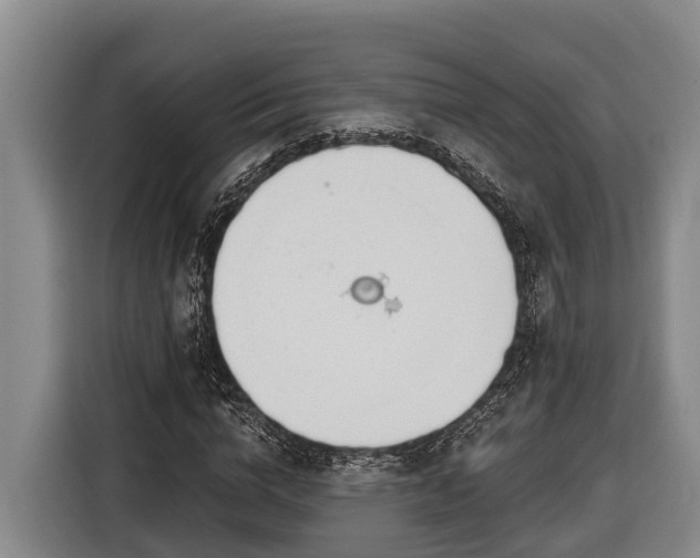 X0000116810824200912241219