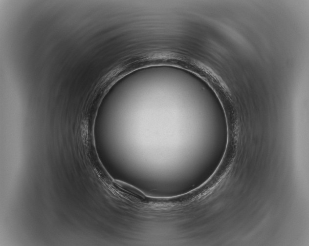 X0000116810825200912241219