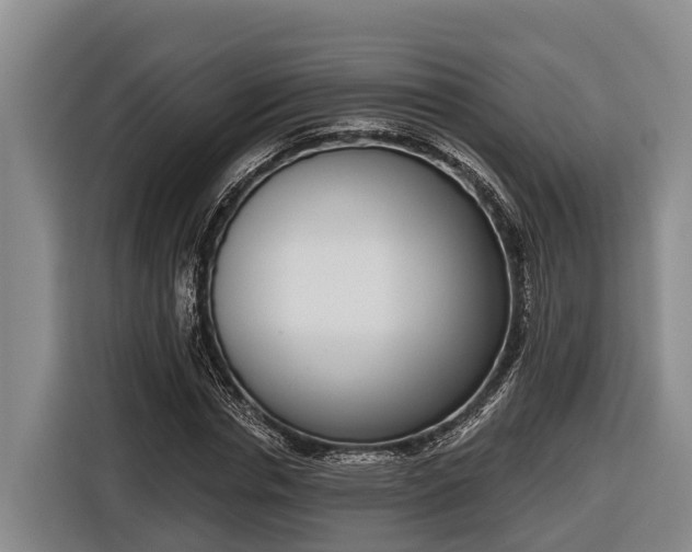 X0000116810826200912241219