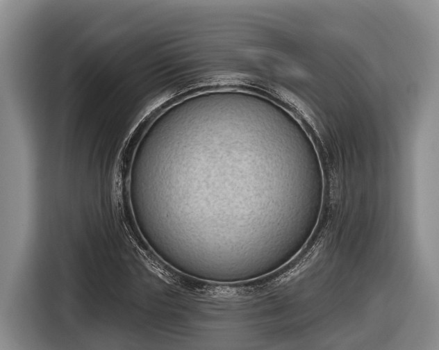 X0000116810827200912241219