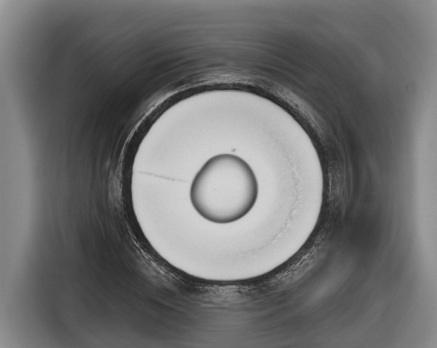 X0000116810828200912241219