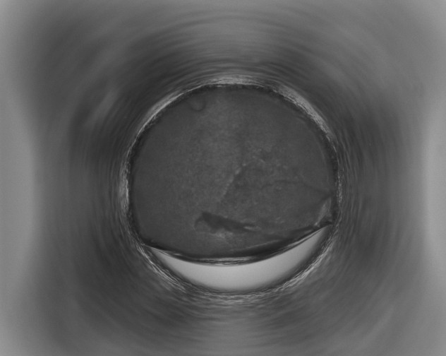 X0000116810829200912241219