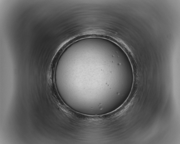 X0000116810830200912241219