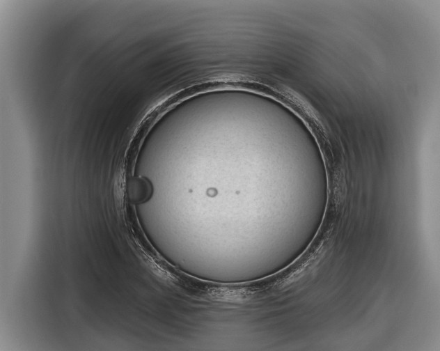 X0000116810831200912241219