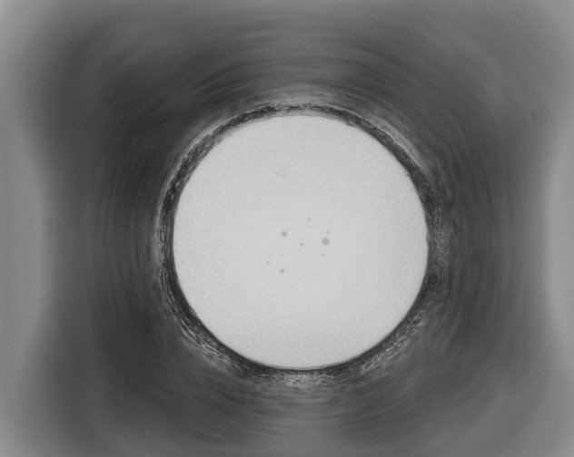 X0000116810832200912241219