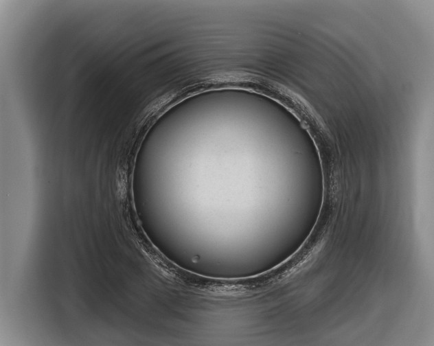 X0000116810833200912241219