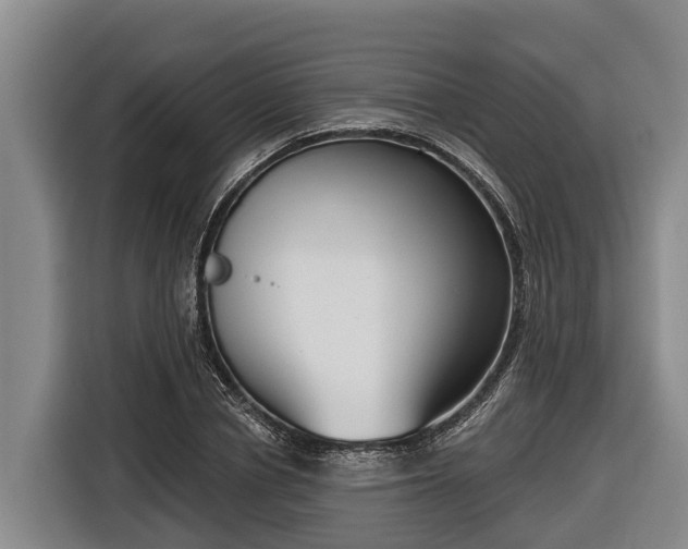 X0000116810834200912241219