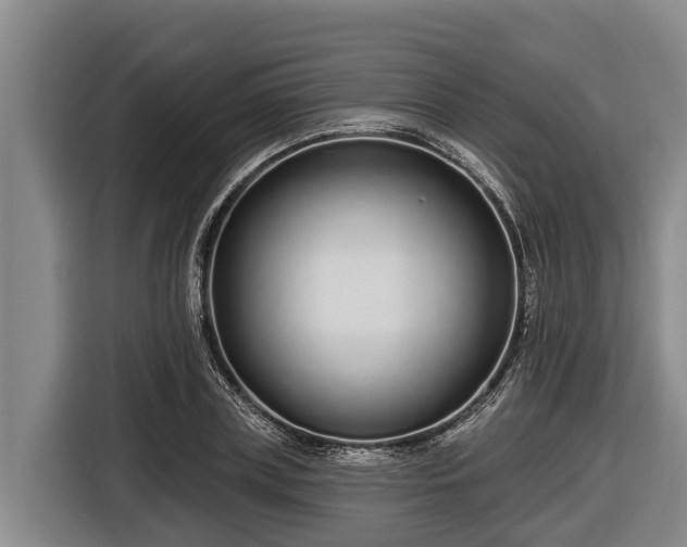 X0000116810835200912241219