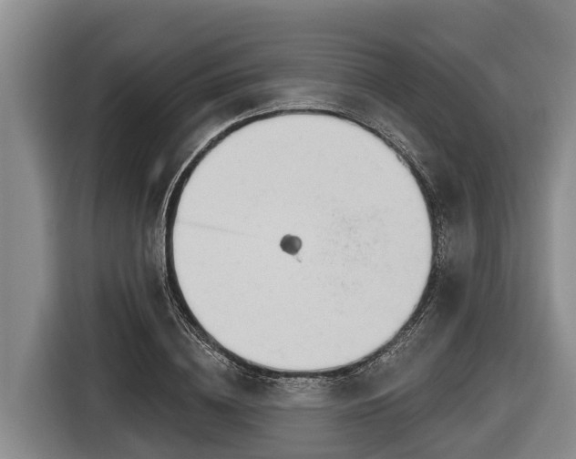 X0000116810836200912241219