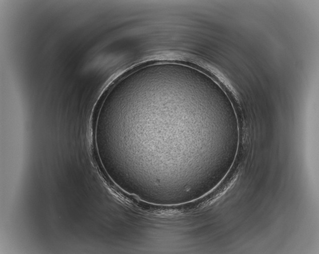 X0000116810837200912241219